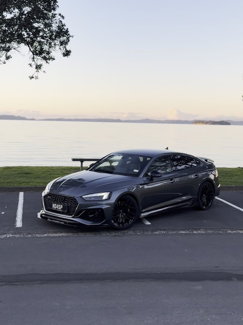 Audi RS5 Sportback parked by the water after detailing